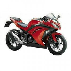 Carene Kawasaki Ninja 300 2013-2024 Fabbrica