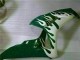 Carena Moto Honda CBR1000RR 2006-2007 - Bianco Verde Fiamma