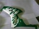 Carena Moto Honda CBR1000RR 2006-2007 - Bianco Verde Fiamma