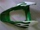 Carena Moto Honda CBR1000RR 2006-2007 - Bianco Verde Fiamma