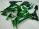 Carena Moto Kawasaki ZX10R 2008-2010 - Nero Lucido Verde Fiamma