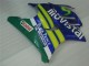 Carena Moto Honda CBR600 F3 1995-1996 - Blu Verde Giallo MoviStar Rosso Castrol