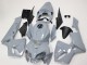 Carena Moto Honda CBR600RR 2005-2006 - Nardo Grigio