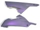 Carena Moto Kawasaki EX300 2013-2024 - Camaleonte Grigio Dazz Viola Perla