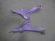 Carena Moto Kawasaki Ninja 650 EX650 2020-2024 - Camaleonte Grigio Dazz Viola Perla