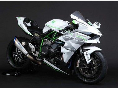 Carena Moto Kawasaki Ninja H2 2015-2022 - Bianco Argento Verde Fabbrica