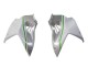 Carena Moto Kawasaki Ninja H2 2015-2022 - Bianco Argento Verde