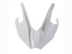 Carena Moto Kawasaki Ninja H2 2015-2022 - Bianco Argento Verde