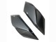 Carena Moto Kawasaki Ninja H2 2015-2022 - Argento Nero Fibra di Carbonio