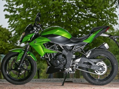 Carena Moto Kawasaki Z250/Z300 2015-2016 - Verde Nero Opaco Fabbrica
