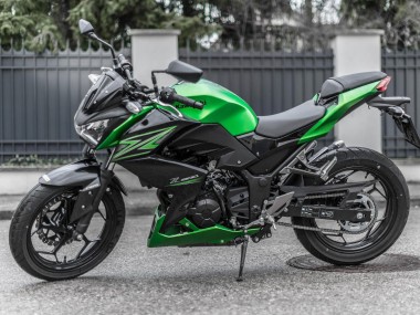 Kit Carena Moto Kawasaki Z250/Z300 2015-2016 - Verde Nero Opaco Fabbrica