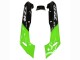 Carena Moto Kawasaki ZZR600 1998-2003 - Verde Nero Lucido Fiamma