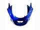 Carena Moto Kawasaki ZZR1100 1993-2003 - Blu Argento Nero