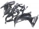 Carena Moto Kawasaki EX300 2013-2024 - Nero Lucido