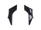 Carena Moto Kawasaki EX300 2013-2024 - Nero Lucido