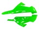 Carena Moto Kawasaki EX300 2013-2024 - Verde Argento Nero