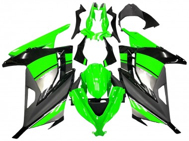 Carena Moto Kawasaki EX300 2013-2024 - Verde Argento Nero Fabbrica