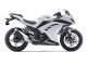 Carena Moto Kawasaki EX300 2013-2024 - Bianco Nero