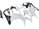 Carena Moto Kawasaki EX300 2013-2024 - Bianco Nero