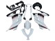 Carena Moto Kawasaki EX300 2013-2024 - Bianco Rosso Nero