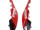 Carene Moto Aprilia RS4 50 125 2012-2019 - Bianco Rosso Verde Nero Lucido