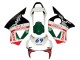Carena Moto Honda CBR900RR 954 2002-2003 - Bianco Rosso Verde Nero Lucido Castrol