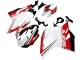 Carena Moto Ducati 1199 2011-2014 - Bianco Rosso Verde Nero Lucido