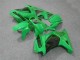 Carena Moto Kawasaki EX250 2008-2012 - Verde Nero