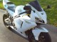 Carena Moto Honda CBR600RR 2005-2006 - Bianco Oro