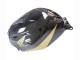 Carena Moto Honda CBR600RR 2005-2006 - Nero Oro