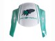 Carena Moto Honda CBR600RR 2005-2006 - Verde Chiaro Bianco Nero Lucido Joe Rocket