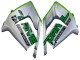 Carena Moto Kawasaki ZX10R 2004-2005 - Verde Argento Nero 69