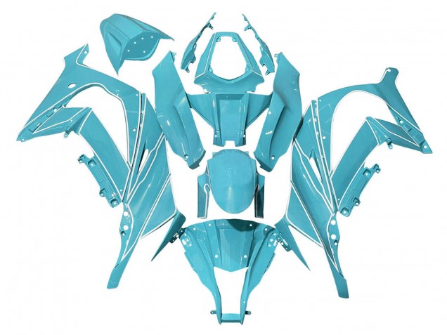 Carena Moto Kawasaki ZX10R 2008-2010 - Azzurro Chiaro Bianco Linea