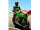 Carena Moto Kawasaki ZX10R 2011-2015 - Verde Giallo Bianco Nero Rosso Pirelli