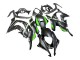 Carena Moto Kawasaki ZX10R 2016-2020 - Nero Opaco Verde Bianco Ninja