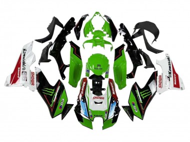 Carena Moto Kawasaki ZX10R 2021-2025 - Verde Nero Bianco Rosso Blu Showr Elf Mostro Fabbrica