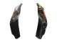 Carena Moto Kawasaki ZX10R 2021-2025 - Verde Nero Rosso