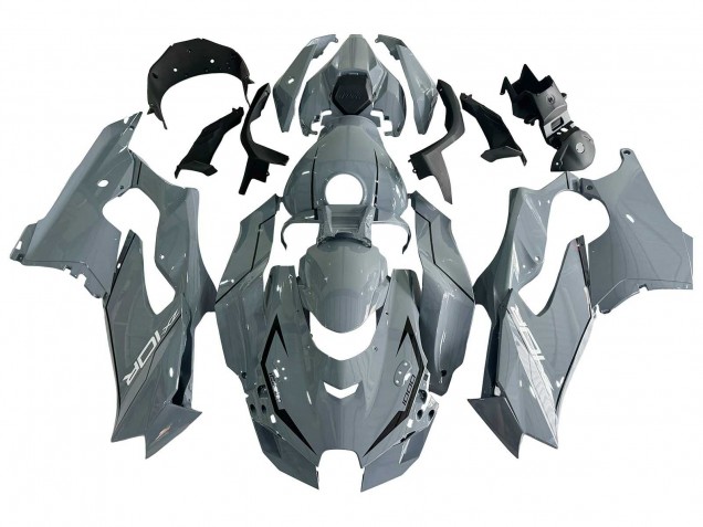 Carena Moto Kawasaki ZX10R 2021-2025 - Grigio