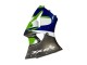 Carena Moto Kawasaki ZX6R 1998-1999 - Verde Bianco Blu Argento Nero Lucido