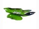 Carena Moto Kawasaki ZX6R 1998-1999 - Verde Bianco Blu Argento Nero Lucido