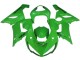 Carena Moto Kawasaki ZX6R 2005-2006 - Verde