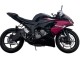 Carena Moto Kawasaki ZX6R 2019-2022 - Nero Lucido Rosa Ninja