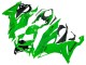 Carena Moto Kawasaki ZX6R 2019-2022 - Verde