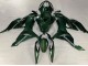 Carena Moto Kawasaki ZX6R 2019-2022 - Verde Scuro