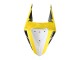 Carena Moto Yamaha YZF R3/R25 2019-2021 - Giallo Bianco Nero Banda