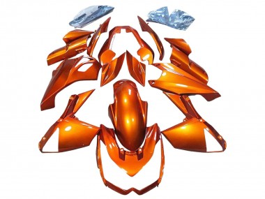 Carena Moto Kawasaki Z1000 2010-2013 - Burnt Arancia Fabbrica