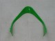 Carena Moto Kawasaki ZX9R 2000-2001 - Verde Argento Nero