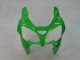 Carena Moto Kawasaki ZX9R 2000-2001 - Verde Argento Nero