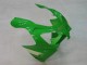 Carena Moto Kawasaki ZX9R 2000-2001 - Verde Argento Nero