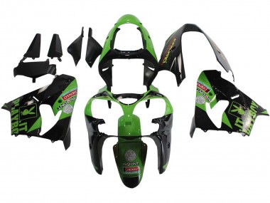 Carena Moto Kawasaki ZX9R 2000-2001 - Verde Nero Playboy DENSO Fabbrica